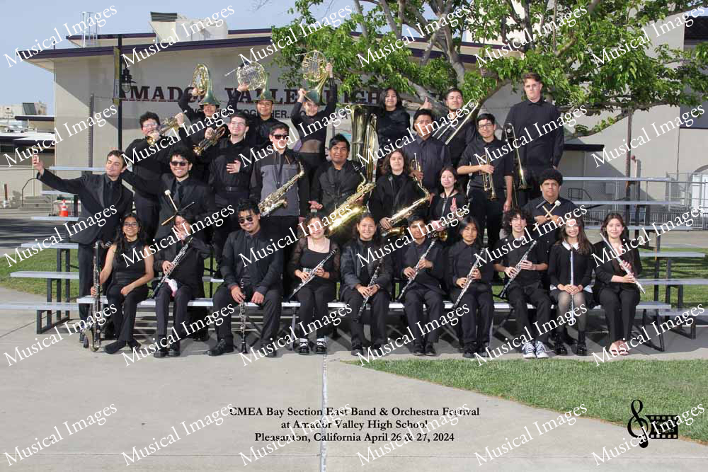 Musical Images